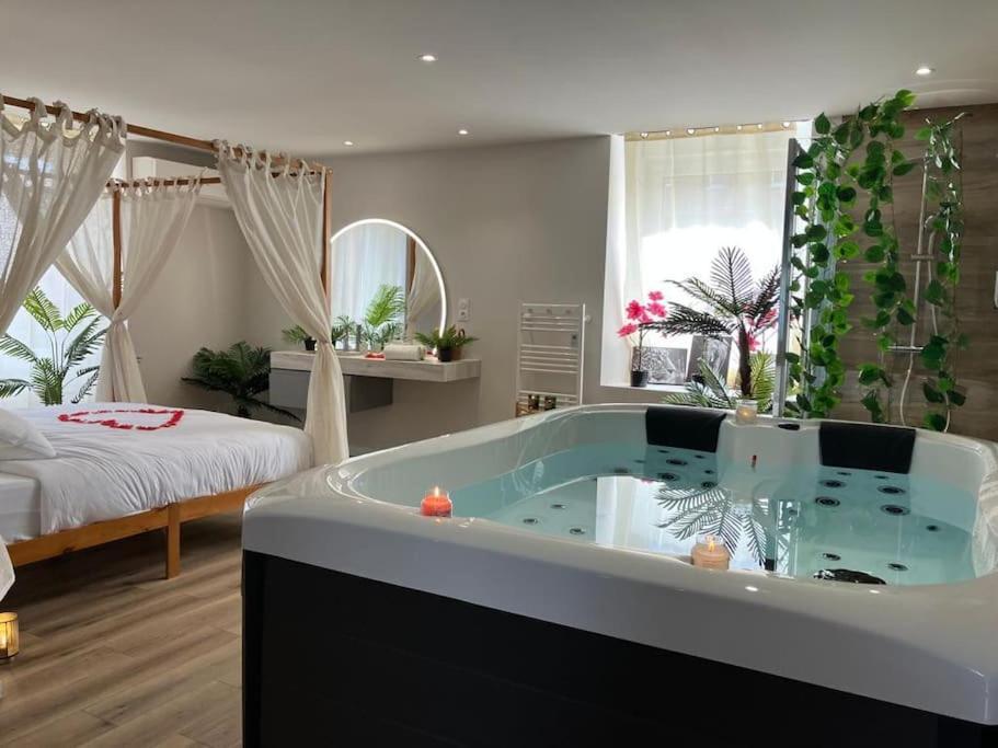 Jungle Secret Spa Nuit Insolite Giromagny エクステリア 写真